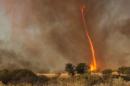 Whirling Flames: How Fire Tornadoes Work