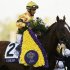 Jockey Velazquez celebrates aboard horse Wise Dan after his first place win in the running of the Breeders' Cup Mile thoroughbred horse race in Arcadia