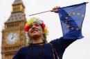 A Pro-Europe demonstrator waves a flag during a "March for Europe" protest against the Brexit vote result earlier in the year, in London, Britain