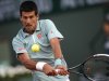 Serbia's Novak Djokovic returns against David Goffin of Belgium during their first round match at the French Open tennis tournament, at Roland Garros stadium in Paris, Tuesday, May 28, 2013. (AP Photo/Michel Spingler)