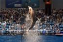 Spectators watch as a dolphin takes part in a performance at Aqua Stadium aquarium in Tokyo on August 11, 2014
