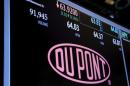 FILE PHOTO -- The Dupont logo is displayed on a board above the floor of the New York Stock Exchange shortly after the opening bell in New York
