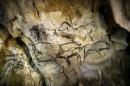 A view of paintings on the rock walls of the Chauvet cave in Vallon Pont d'Arc, southeastern France, on June 13, 2014