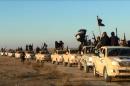 This image posted on a militant website on Tuesday, Jan. 7, 2014, which is consistent with AP reporting, shows a convoy of vehicles and fighters from the al-Qaida linked Islamic State of Iraq and the Levant (ISIL) fighters in Iraq's Anbar Province. With al-Qaida linked fighters and allied tribal gunmen camped on the outskirts, a tentative calm took hold over Fallujah on Friday, Jan. 10, 2014 and residents started to return to the besieged city west of Baghdad. Government forces were stationed nearby as sporadic street fighting breaks out in other cities. The picture painted by residents, officials and international groups suggests that both the militants and government forces are preparing for a long standoff with civilians caught in the middle.(AP Photo via militant website)