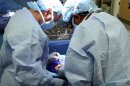 Need Liver Transplant? Much Depends on Zip Code