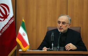 Head of Iran&#39;s Atomic Energy Organisation Ali Akbar&nbsp;&hellip;