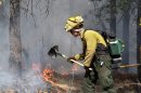 An AmeriCorps volunteer firefighter assigned to the El Paso County Sheriff's Office, Woodland Fire Crew, helps contain a spot fire in an evacuated area of forest, ranches and residences, in the Black Forest wildfire area, north of Colorado Springs, Colo., on Thursday, June 13, 2013. According to officials, at least 360 homes have been burned, and 38,000 people have been evacuated since the fire began earlier in the week. (AP Photo/Brennan Linsley)