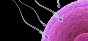 Apa yang Menyebabkan Jumlah Sperma Menurun