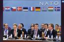 NATO Suspends Cooperation With Russia Over Crimea Crisis