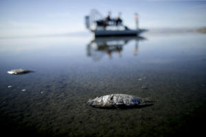 California's largest lake threatened by urban water&nbsp;&hellip;