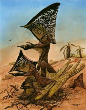 Flock of Ancient 'Butterfly-Headed' Flying Reptiles Discovered