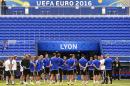 Northern Ireland's main coach Michael O'Neill speaks with his players during a training session at the Parc Olympique Lyonnais stadium in Lyon on June 15, 2016 on the eve of the Euro 2016 football match between Ukraine and Northern Ireland