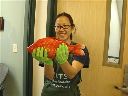 Researcher Christine Ngai is seen with a Lake Tahoe goldfish in 2009, in this handout photo courtesy of the Tahoe Environmental Research Center at the University of California Davis. REUTERS/Tahoe Environmental Research Center/University of California Davis/Handout