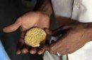 Un sudanese tiene in mano una pepita d'oro