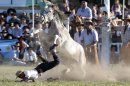 South America's 'gaucho' cowboys take wild ride
