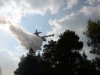 Θάσος: Στάχτη 5.000 στρέμματα άφησε πίσω της η πυρκαγιά