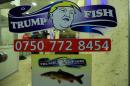 A restaurant named Trump Fish is seen in the Kurdish city of Duhok