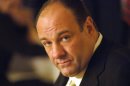 Gandolfini's career was about more than The Sopranos, but his role in the show transformed television.