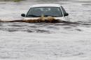 A driver tries to navigate a severely flooded street as heavy rains pour down Monday, Sept. 8, 2014, in Phoenix. Storms that flooded several Phoenix-area freeways and numerous local streets during the Monday morning commute set an all-time record for rainfall in Phoenix in a single day. (AP Photo/Ross D. Franklin)
