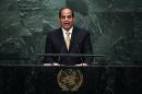 Egypt's President Abdel Fattah Al Sisi has bee in power since 2014