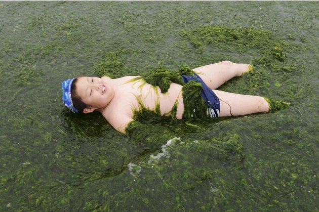 A boy plays on an algae-covered seaside in Qingdao