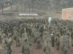 Military drills conducted on the Korean peninsula