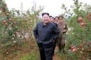 North Korean leader Kim Jong Un gives field guidance to the Kosan Combined Fruit Farm in this undated photo released by North Korea's Korean Central News Agency (KCNA) in Pyongyang