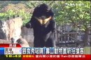 餵食秀吸睛！　壽山動物園新招搶客