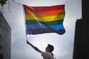 A man waves a rainbow flag while observing a gay pride parade in San Francisco, California