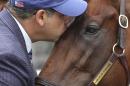 Kentucky Derby and Preakness Stakes winner American Pharoah, gets a kiss from his owner, Ahmed Zayat after a workout at Belmont Park, Friday, June 5, 2015, in Elmont, N.Y. American Pharoah will try for a Triple Crown when he runs in Saturday's 147th running of the Belmont Stakes horse race. (AP Photo/Peter Morgan)