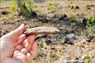 都蘭遺址農地 挖出3千年前文物