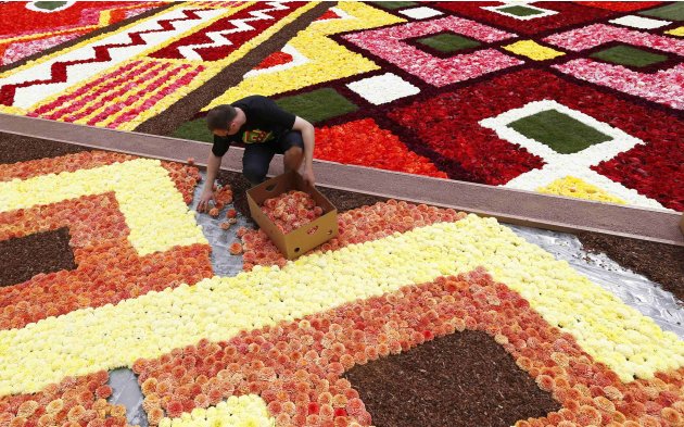 Gardener designs giant carpet …