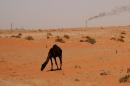 A flame from a Saudi oil installion is seen in the desert near the oil-rich area of Khouris on June 23, 2008