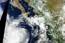 A NASA satellite image shows Tropical Storm Kay off the coast of Mexico on August 20, 2016, a storm that the Miami-based National Hurricane Center projected to peter out on Monday without causing major damage