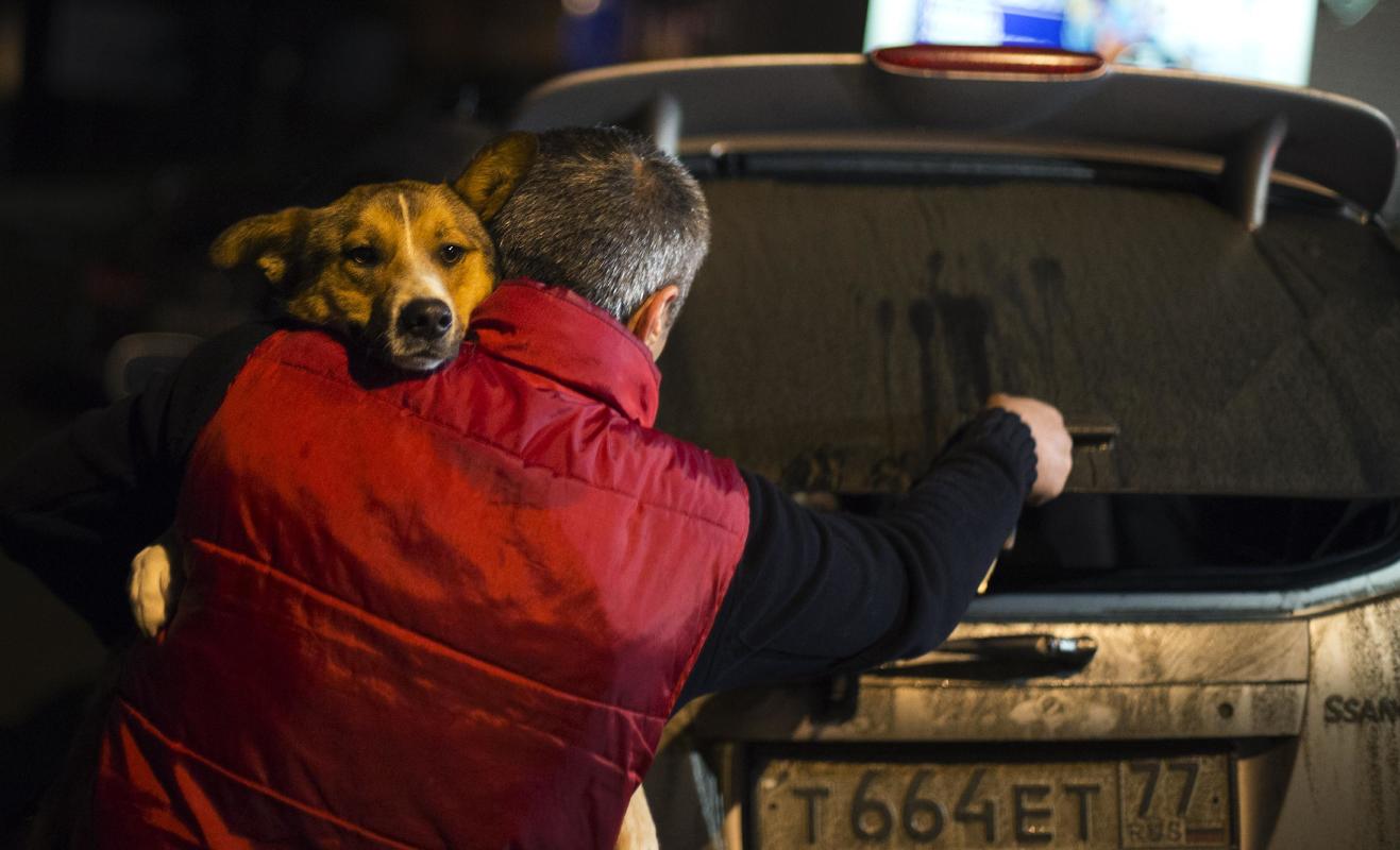 Volunteers smuggle Sochi dogs out of town