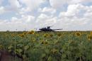 A Ukrainian army tank sits in position in a sunflowers field near the village of Maryinka, a suburb of Donetsk, on August 5, 2014
