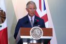 Prince Charles of Wales gives a speech while visiting Mexico City on November 3, 2014