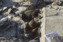 Children look through the rubbles of collapsed buildings after what activists said was a U.S.-led air strike in Harem city