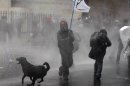 FILE - In this June 10, 2012 file photo, a dog runs in the spray as riot police use water cannons against demonstrators during a protest against the premiere of a documentary about the late Gen. Augusto Pinochet in Santiago, Chile. As the protests become fixtures in this modernizing capital, normally unnoticed street dogs have become stars in their own right. (AP Photo/Luis Hidalgo, File)