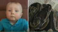 El pequeño Williams Winans, con la serpiente infanticida que casi le come un pie