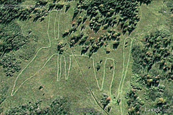 A historical Google Earth image from 2007 showing the animal-shaped geoglyph in Russia, which may predate Peru's famous Nazca Lines. [<a href=http://www.livescience.com/23884-nazca-lines-russia-geoglyphs.html>See more Russian Nazca Lines Photos