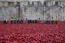 A ceremony to mark the addition of the final poppy to the "Blood Swept Lands and Seas of Red" installation by artist Paul Cummins and theatre stage designer Tom Piper is pictured on Armistice Day at the Tower of London on November 11, 2014