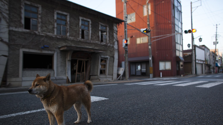 Japan Raises Nuclear Alert Level To Seven