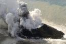 Smoke billows from a new island off the coast of Nishinoshima, a small, uninhabited island in the Ogasawara chain, far south of Tokyo Thursday, Nov. 21, 2013. The Japan Coast Guard and earthquake experts said a volcanic eruption has raised the new island in the seas to the far south of Tokyo. The coast guard issued an advisory Wednesday warning of heavy black smoke from the eruption. (AP Photo/Kyodo News) JAPAN OUT, MANDATORY CREDIT
