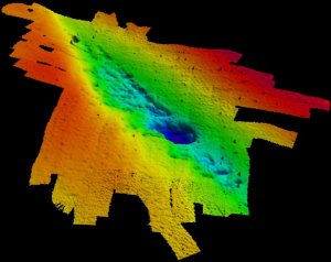 Primeval Underwater Forest Discovered in Gulf of Mexico