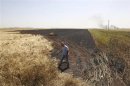 Man inspects an area of a burned wheat field which activists said was caused by shelling by the Syrian regime in Aleppo's countryside