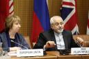 EU Foreign Policy Chief Ashton and Iranian Foreign Minister Javad Zarif wait for the begin of talks in Vienna