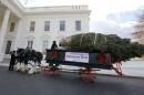 The official White House Christmas tree, from the Crystal Spring Tree Farm in Pennsylvania, pulls up to the North Portico of the White House in Washington