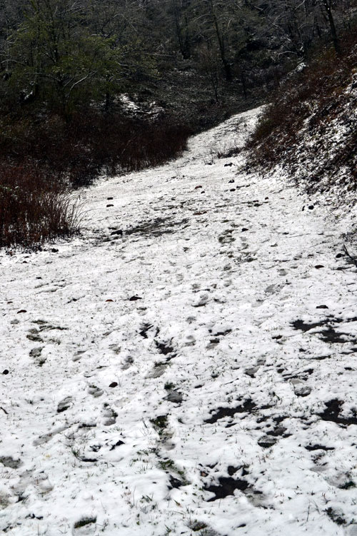 Chùm ảnh tuyết rơi phủ trắng núi rừng Sa Pa, Mèo Vạc