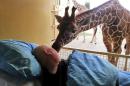This photo released Saturday March 22, 2014 by Stichting Ambulance Wens or Ambulance Wish Foundation shows a giraffe at Blijdorp Zoo in Rotterdam giving a lick to terminally ill Mario Eijs on Wednesday March 19, 2014 . The Stichting Ambulancewens "Ambulance Wish Foundation" offers transport for terminally ill patients who cannot walk to help fulfill a last wish, in Eijs' case to be taken to the Blijdorp Zoo in Rotterdam where he worked doing odd jobs for 25 years. Eijs, who has a mental handicap, is dying of a brain tumor and has difficulty walking or speaking. (AP Photo/Stichting Ambulance Wens)